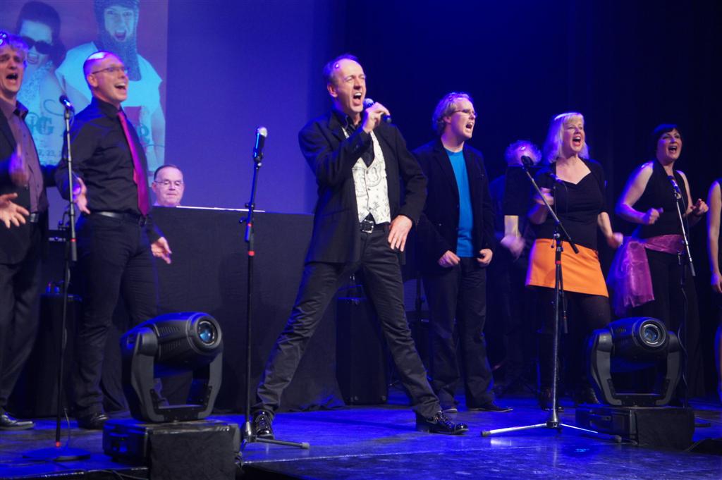 Drijfzand in Concert (2012) — beeld 5